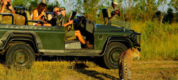 Tailor Made Safaris Drakensberg Royal Natal National Park