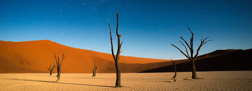 Spectacular Namibia and the Kgalagadi