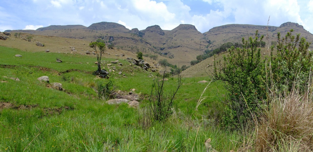 Kamberg Nature Reserve