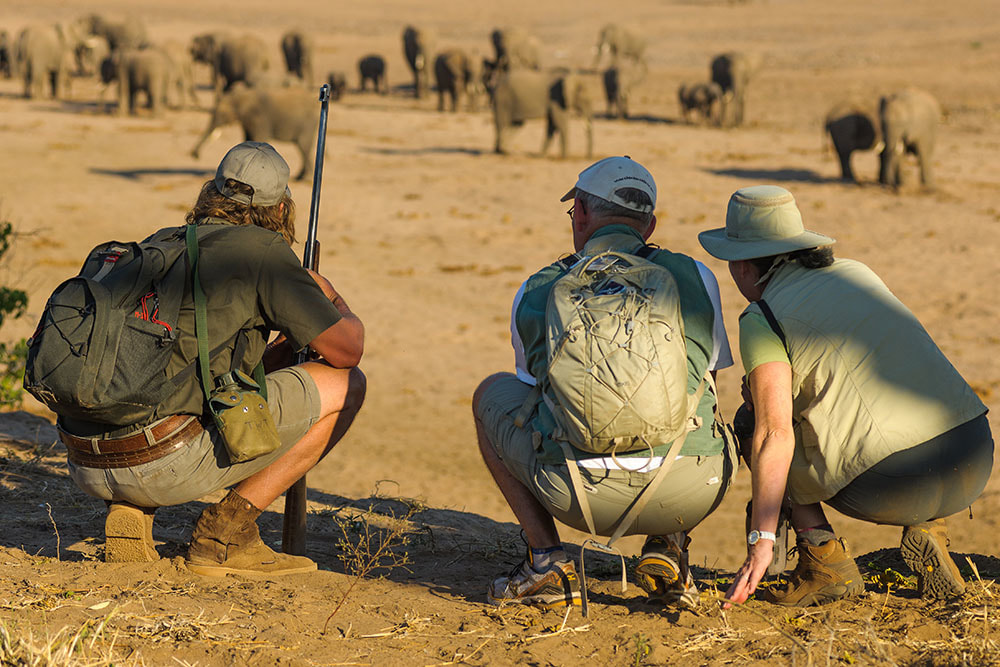 Tailor Made Safaris Walking Safari Botswana