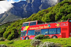 Tailor Made Safaris Cape Town Tour Hop-On, Hop-Off Bus
