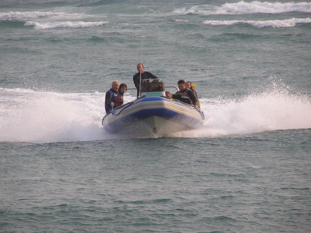 Ocean boat tours
