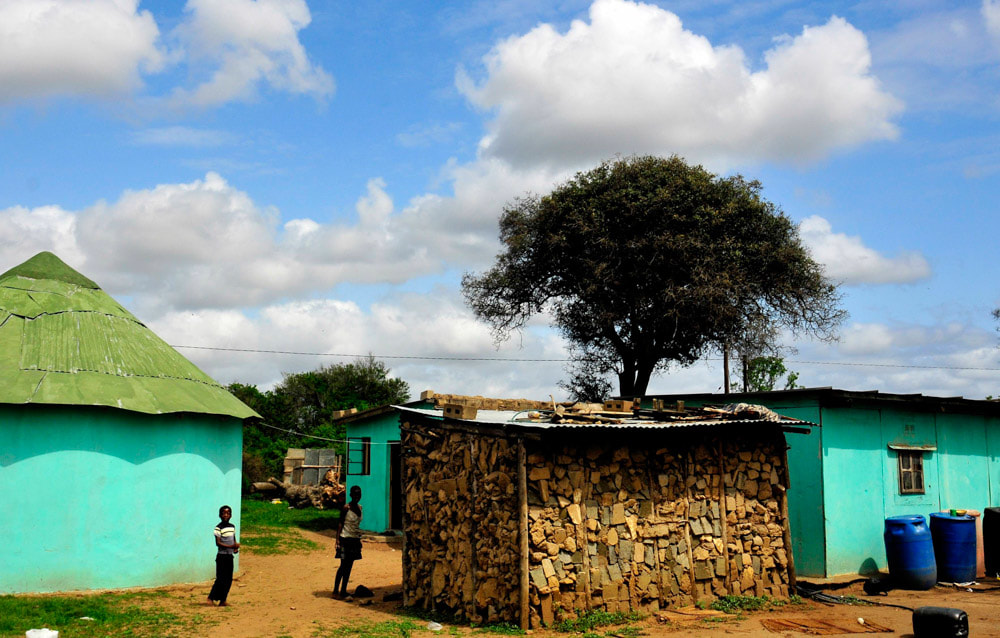 Tailor Made Safaris - Zulu Village Tour - Traditional housing